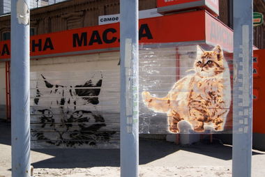 Graffiti Street Art in Yekaterinburg - Photo by ptrk - urban, cats, street-art