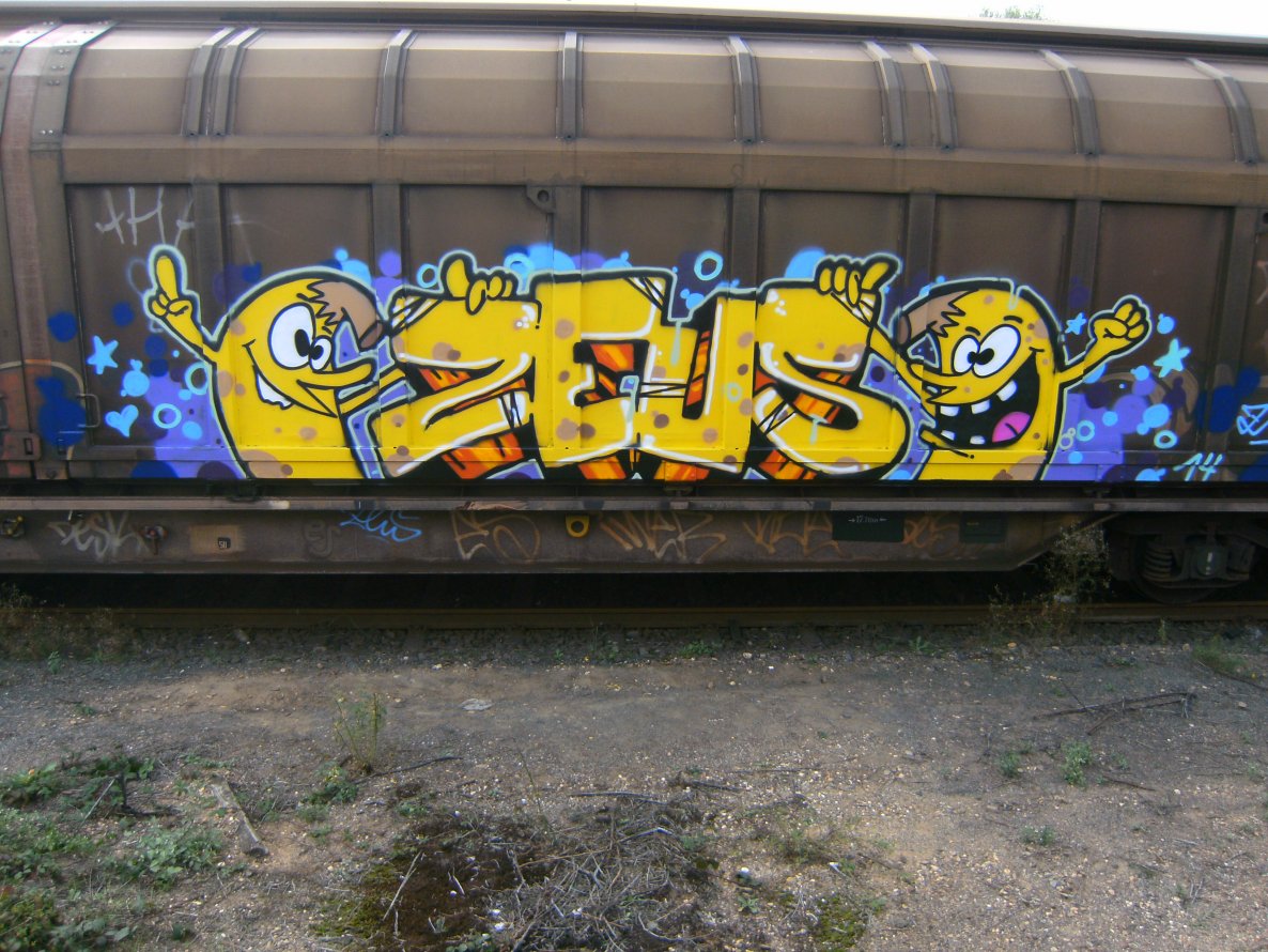 Graffiti Train - Photo by pulverfritte - zeusone (2014)