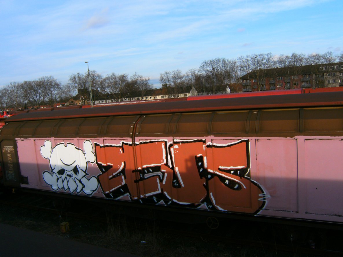 Graffiti Train - Photo by pulverfritte - freight, köln, zeus (2014)