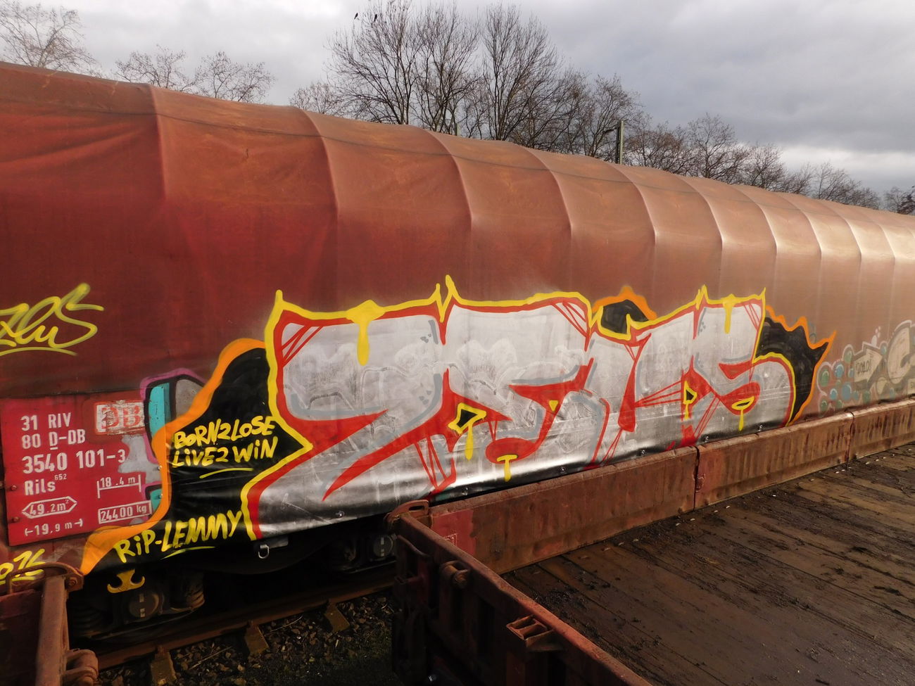 Graffiti Train - Photo by pulverfritte - zeus, freight, köln (2016)