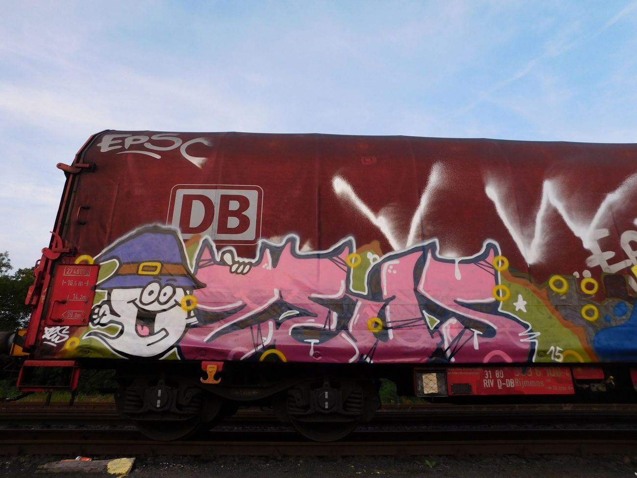 Graffiti Train - Photo by pulverfritte - zeus, freight, köln (2016)