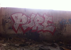 Photo #155337 by ANAZCREW