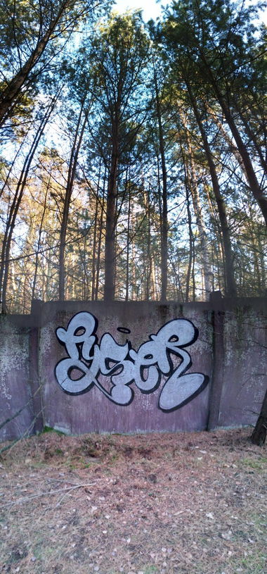 Graffiti Bombing - Photo by pyser - Pyser, Abandoned, lostplace (2015)