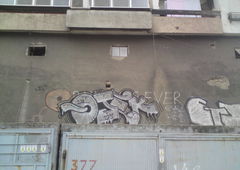 Photo #14541 by DieKeule