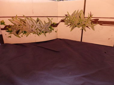 Graffiti Wall - Photo by quester