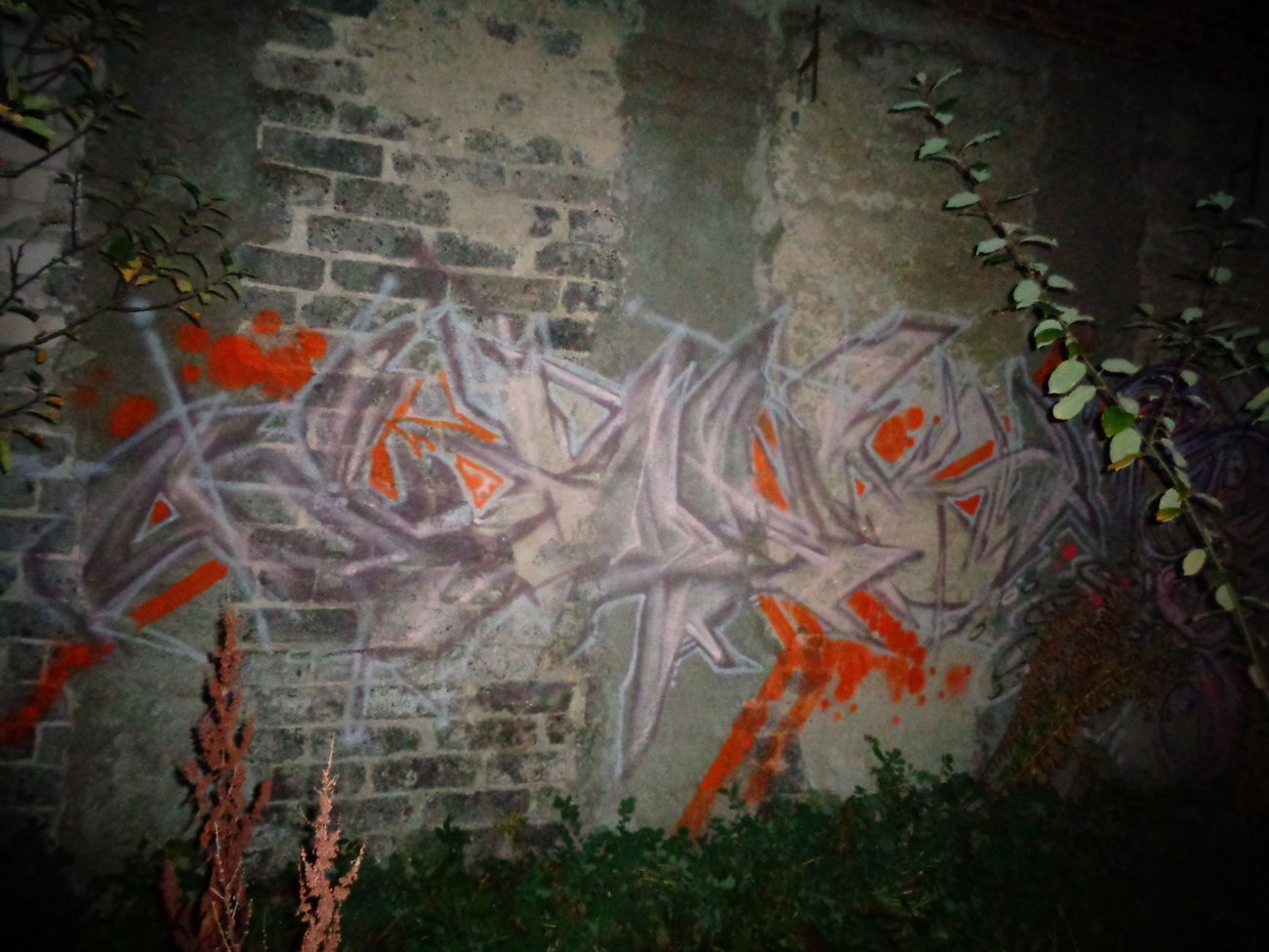 Graffiti Wall - Photo by quester