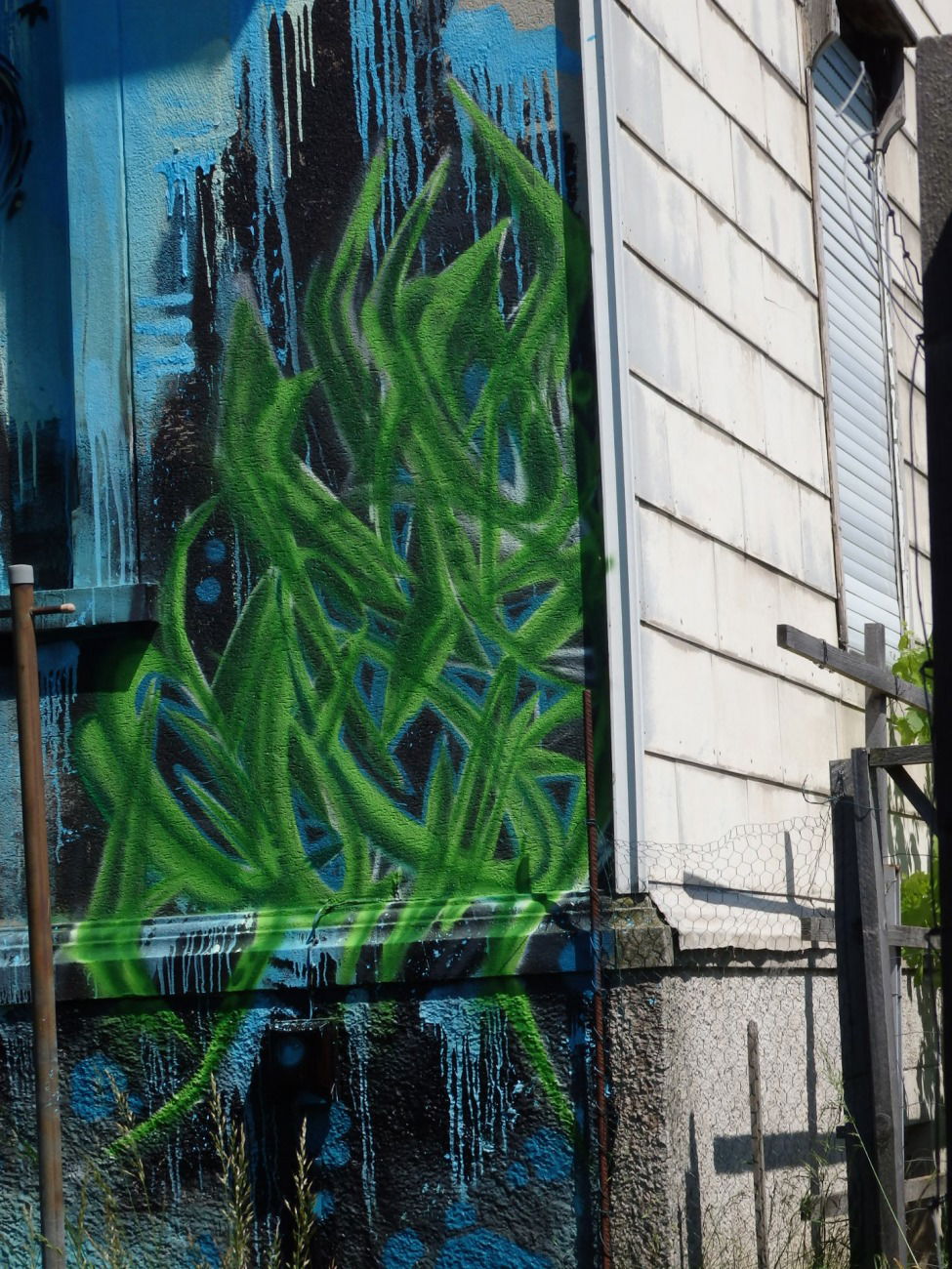 Graffiti Wall - Photo by quester