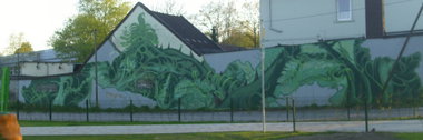Graffiti Wall - Photo by quester