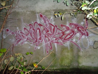 Graffiti Wall - Photo by quester