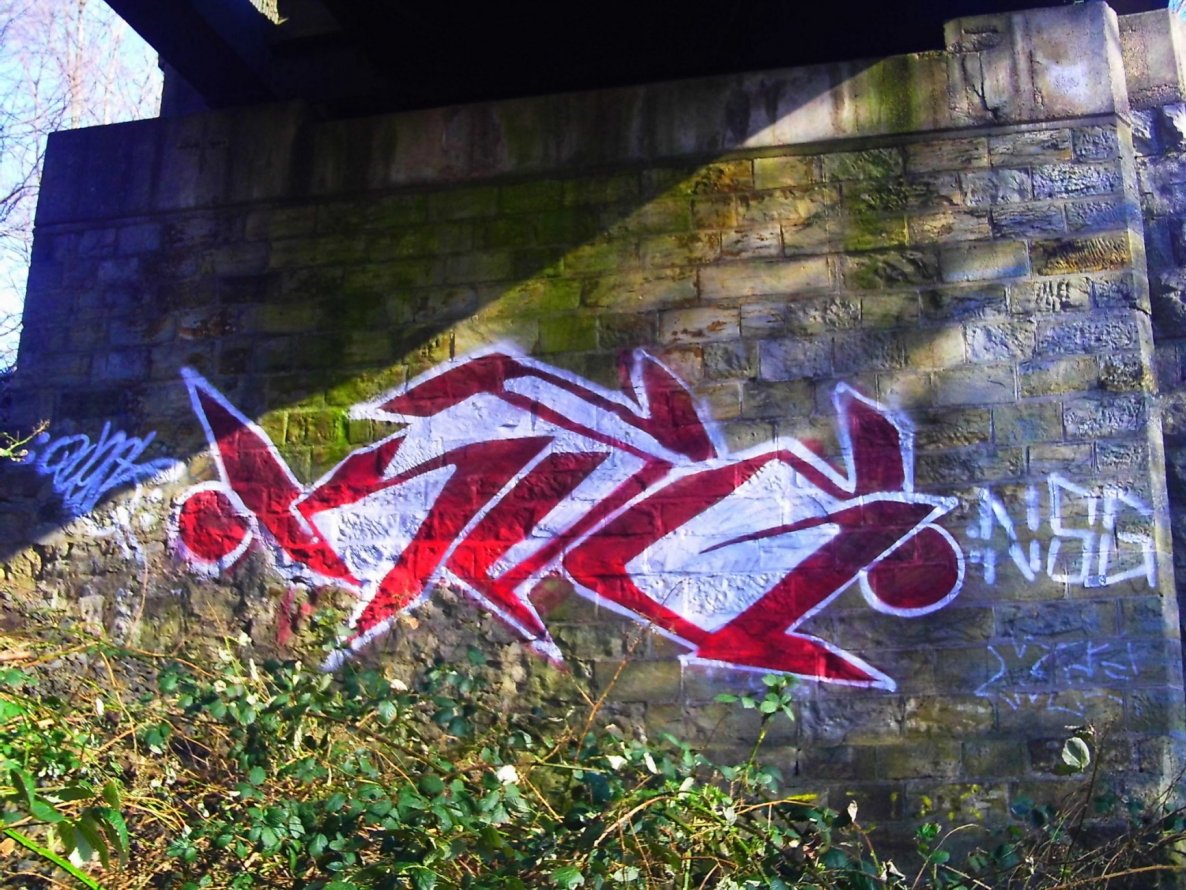 Graffiti Bombing - Photo by quester