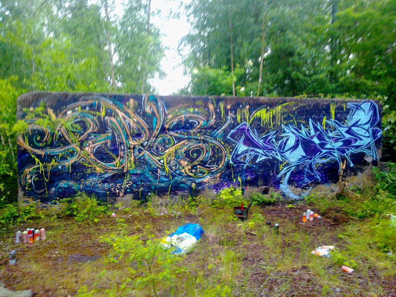 Graffiti Wall - Photo by quester