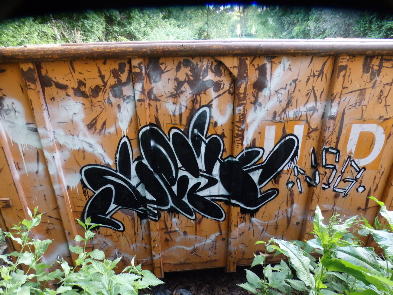 Graffiti Wall - Photo by quester