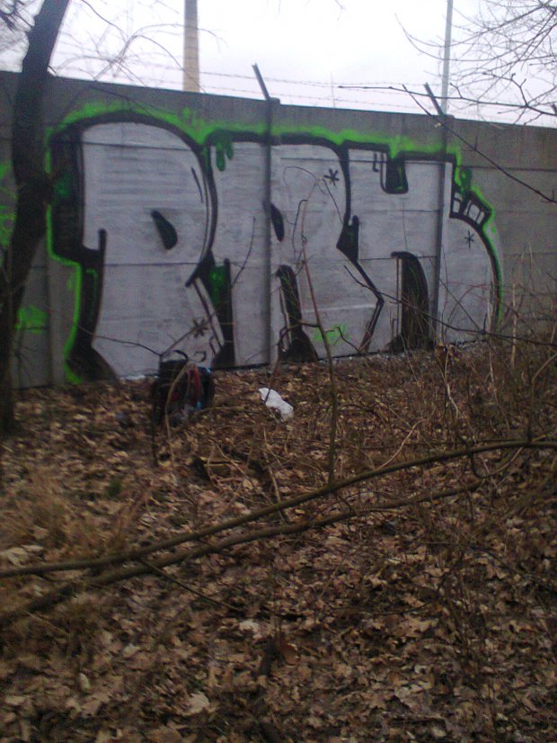 Graffiti Bombing - Photo by quiteprk (2014)