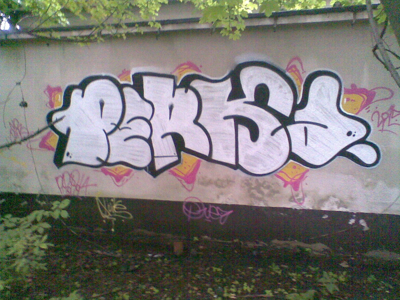 Graffiti Bombing - Photo by quiteprk (2015)