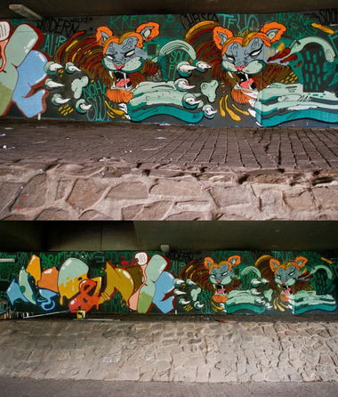 Graffiti Wall - Photo by qumi - lions, twins, rip (2014)