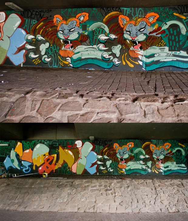 Graffiti Wall - Photo by qumi - lions, twins, rip (2014)