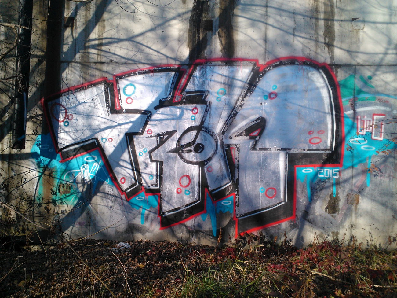 Graffiti Wall - Photo by qwerty123 - TrOk