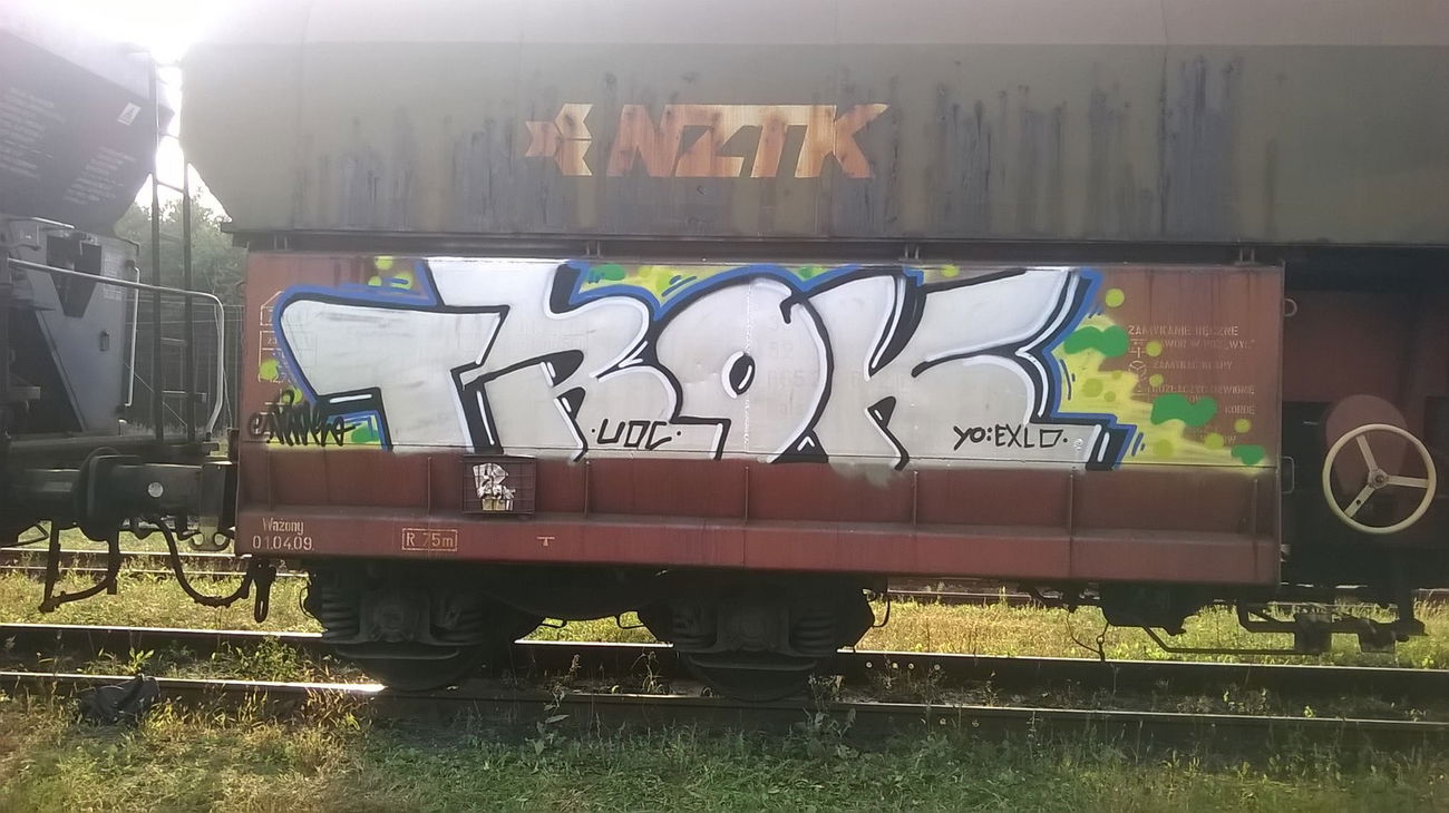 Graffiti Train - Photo by qwerty123 - trok (2015)