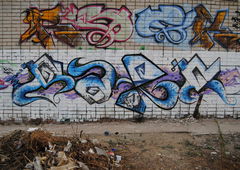 Photo #42188 by chip