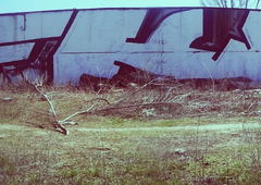 Photo #42524 by Donszkoj