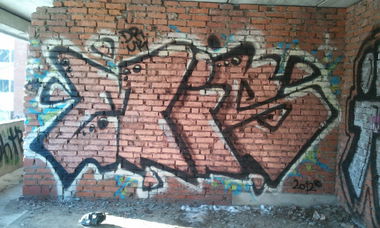 Graffiti Bombing - Photo by rake