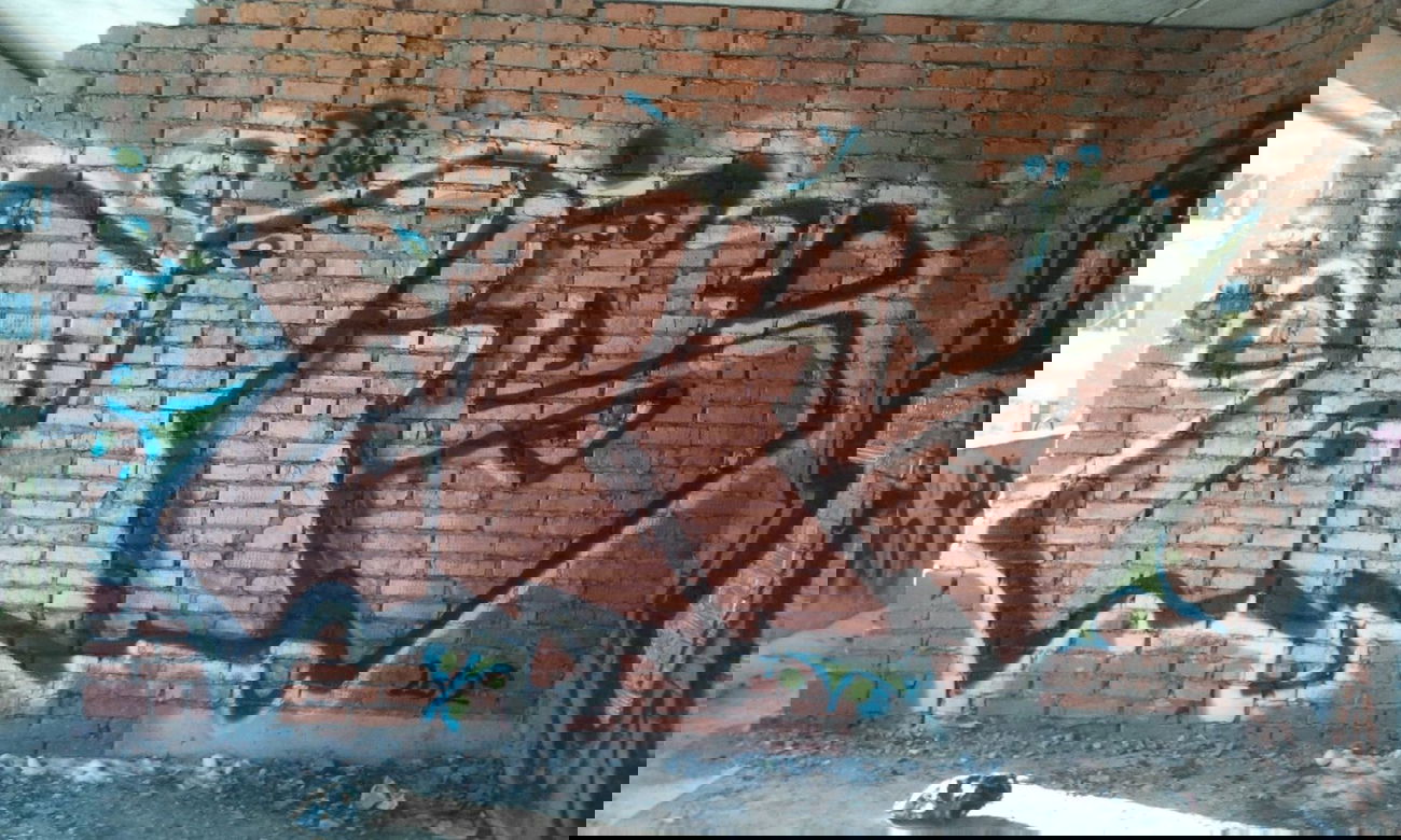 Graffiti Bombing - Photo by rake