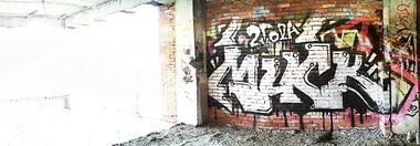 Graffiti Bombing - Photo by rake