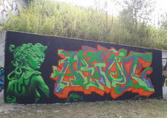 Photo #134385 by gask1