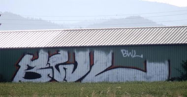 Graffiti Bombing - Photo by ramuk - BWL