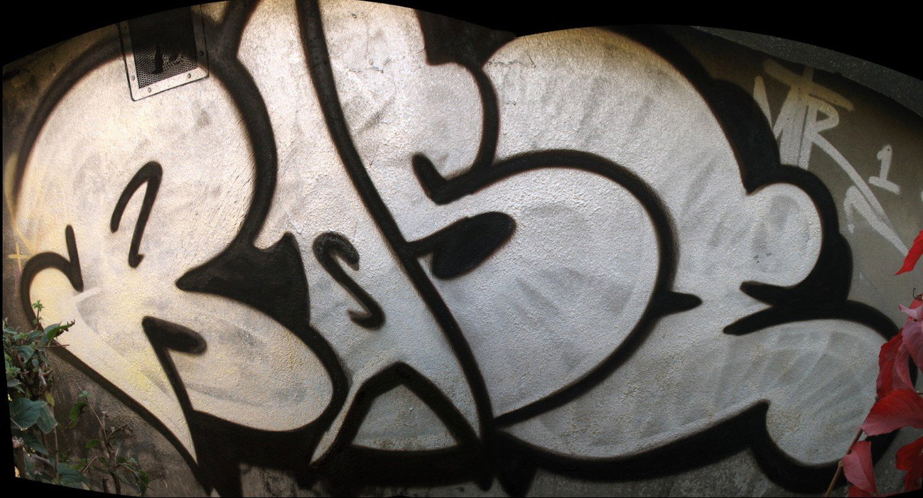 Graffiti Wall - Photo by rasexone1 - rase (2013)