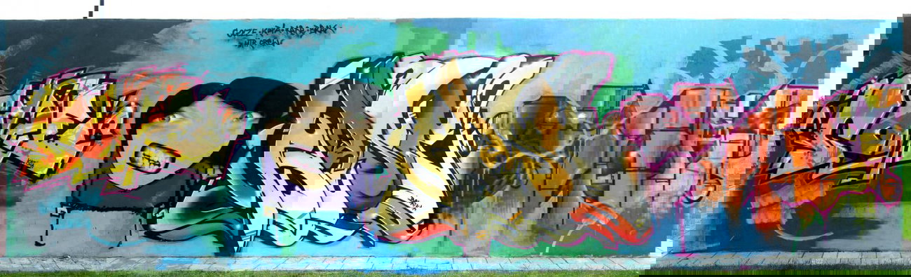 Graffiti Wall - Photo by rasexone1 - rase, kupa, golz (2010)