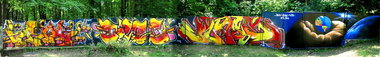 Graffiti Wall - Photo by rasexone1 - brak, golz, rase (2010)