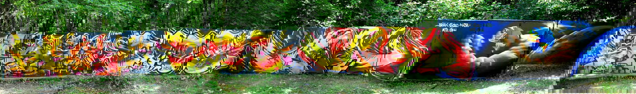 Graffiti Wall - Photo by rasexone1 - brak, golz, rase (2010)