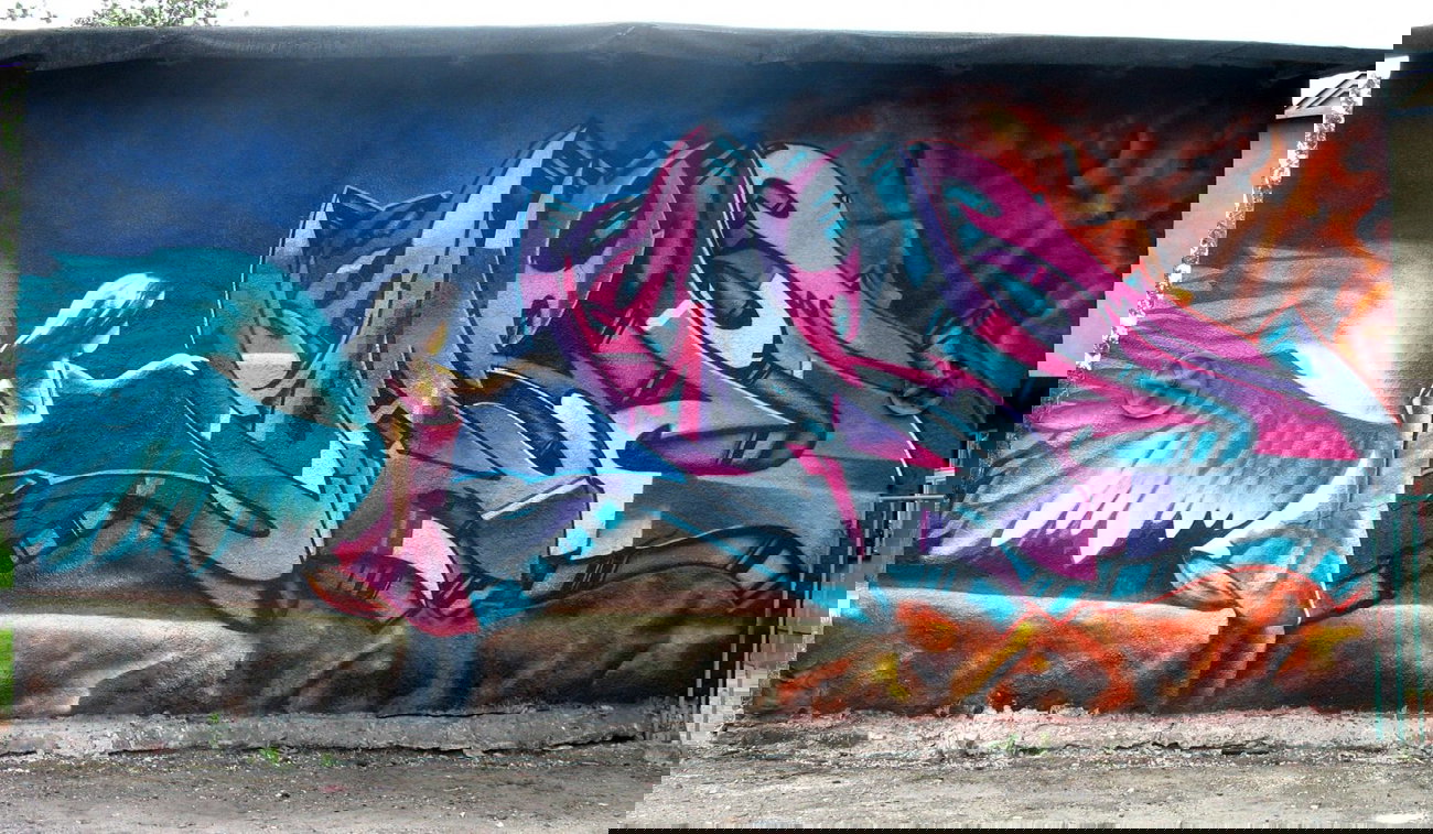 Graffiti Wall - Photo by rasexone1 - rase (2011)