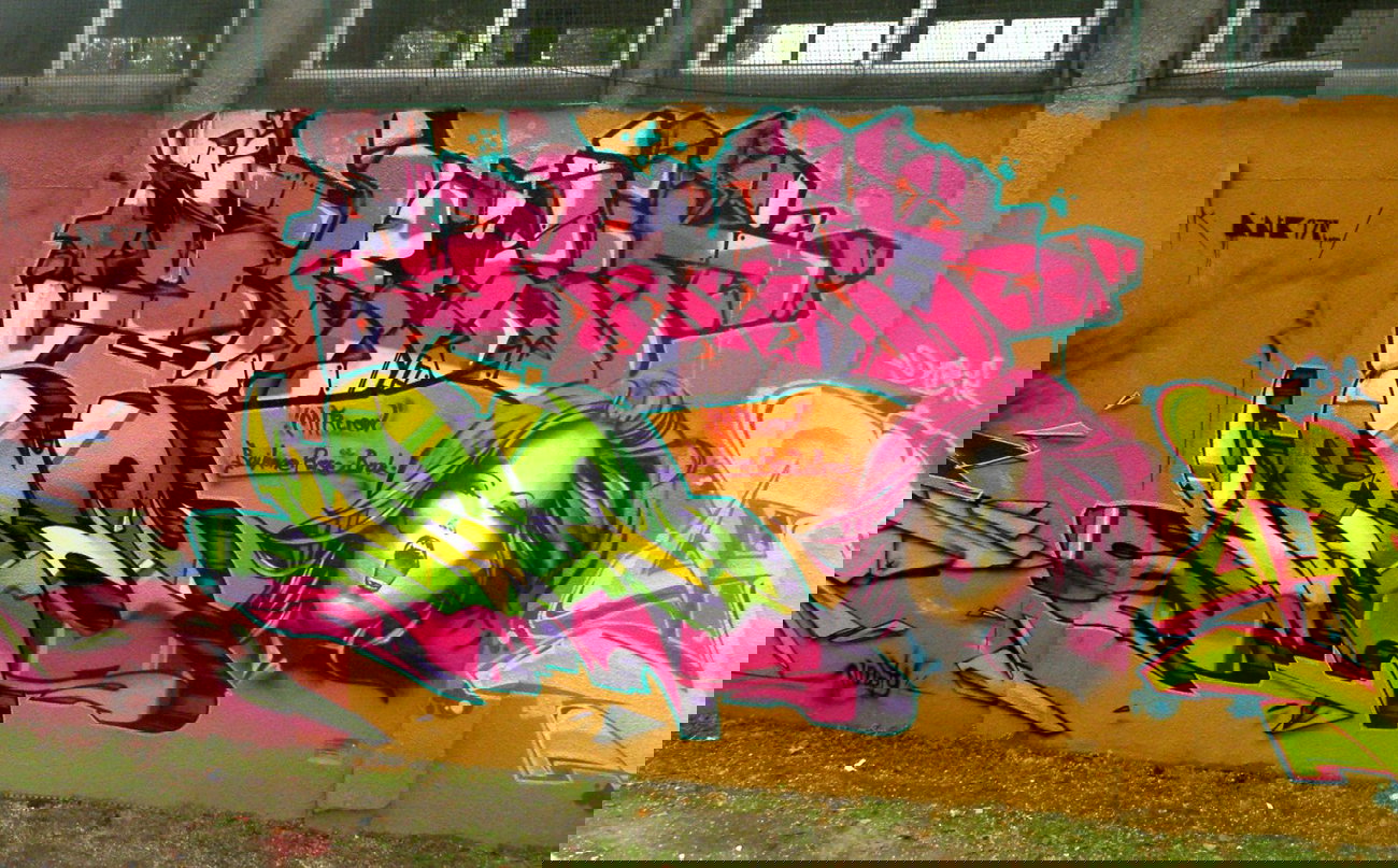 Graffiti Wall - Photo by rasexone1 - rase, brak, baik (2012)