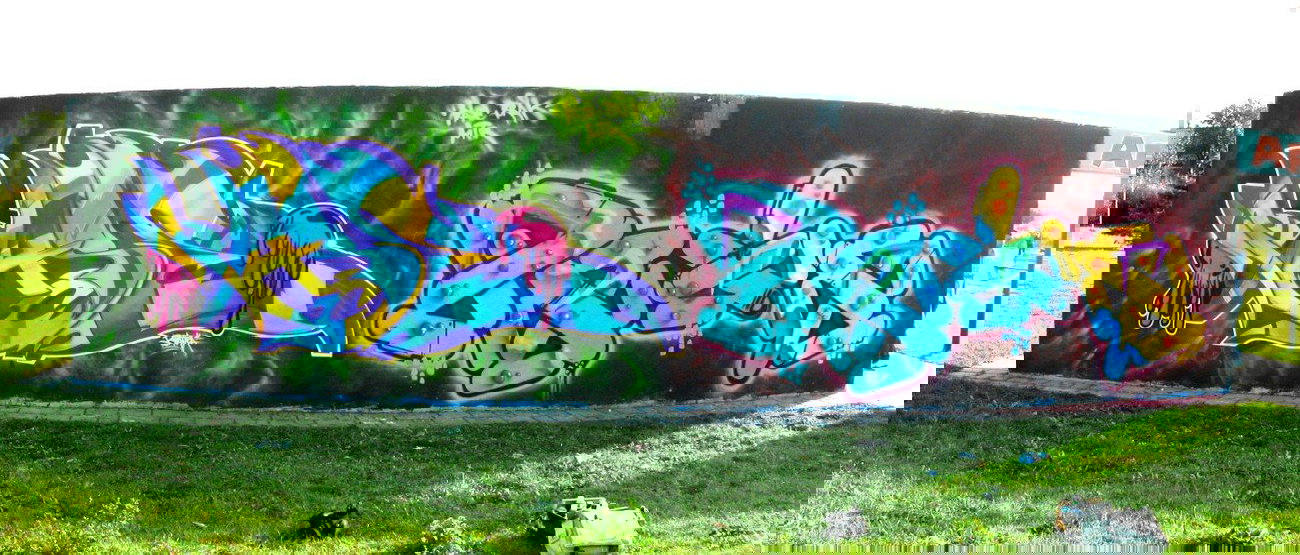 Graffiti Wall - Photo by rasexone1 - rase, brak (2012)