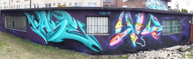 Graffiti Wall - Photo by rasexone1 - rase, brak (2013)