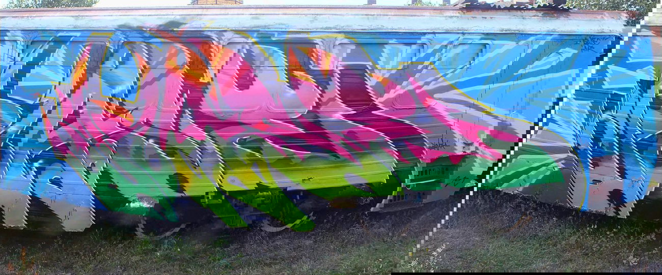 Graffiti Train - Photo by rasexone1