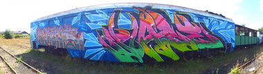 Graffiti Train - Photo by rasexone1 - tuas, rase (2013)