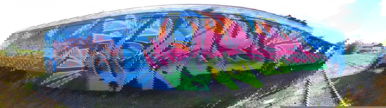 Graffiti Train - Photo by rasexone1 - tuas, rase (2013)