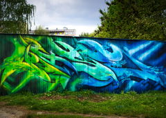 Photo #227398 by Belt