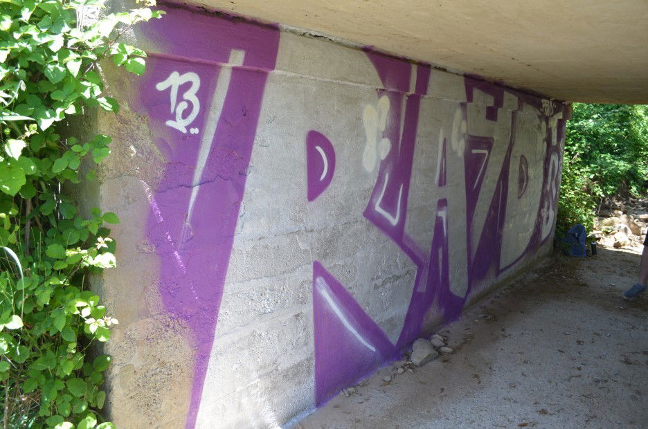 Graffiti Bombing - Photo by raydtrb