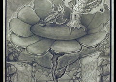 Photo #56884 by Schokofliege