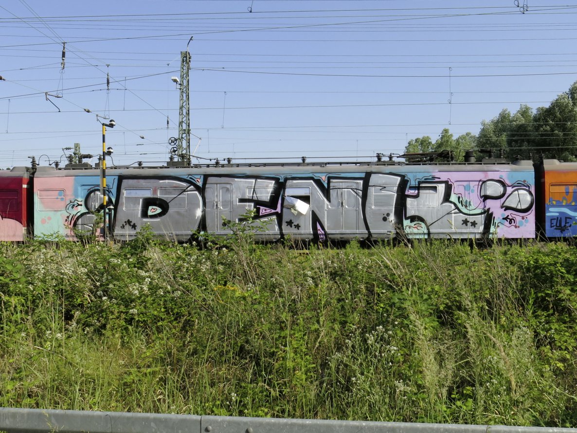 Graffiti Wall - Photo by real2real - denk, trash (2014)