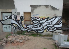 Photo #172480 by TheWallHunter