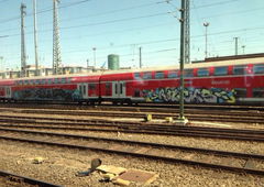 Photo #19675 by Chintz