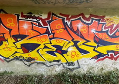 Photo #252038 by DETS