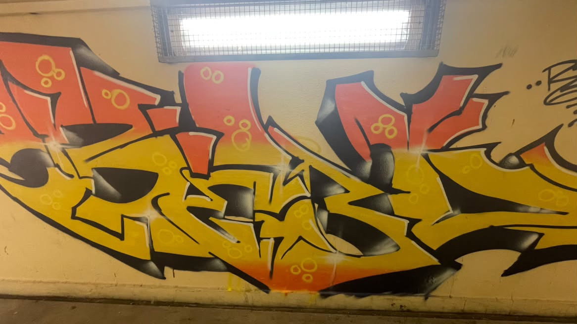 Graffiti Bombing - Photo by rebl303