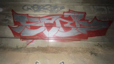 Graffiti Bombing - Photo by rebl303
