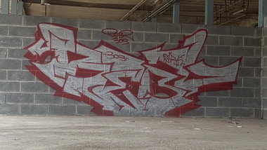 Graffiti Bombing - Photo by rebl303